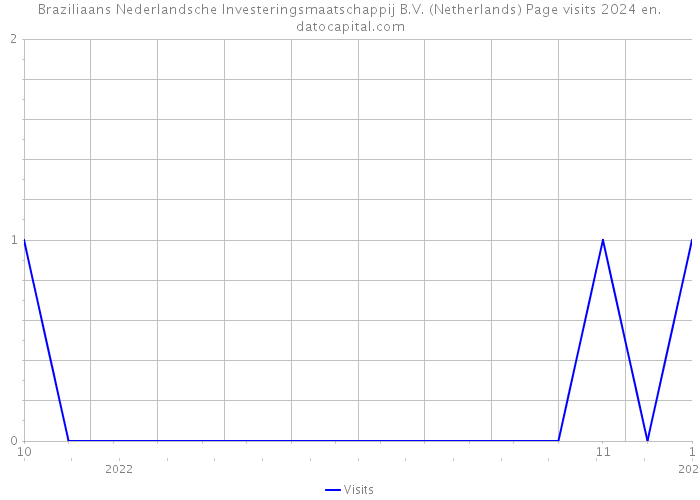 Braziliaans Nederlandsche Investeringsmaatschappij B.V. (Netherlands) Page visits 2024 