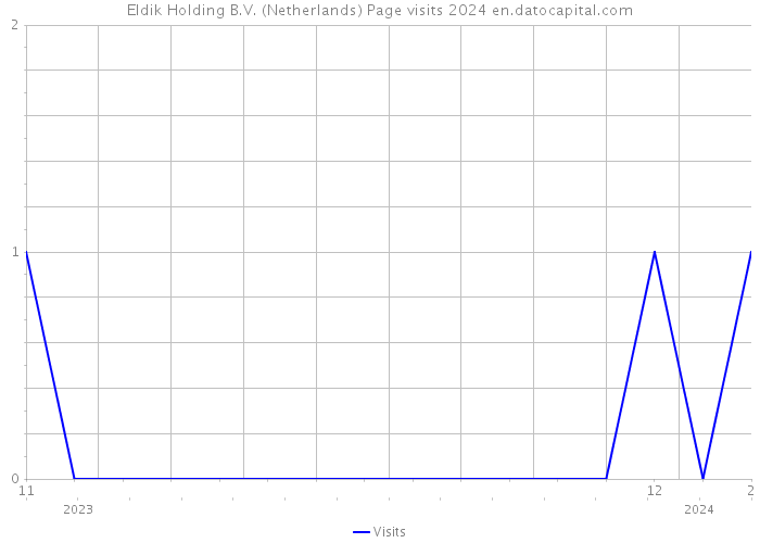 Eldik Holding B.V. (Netherlands) Page visits 2024 