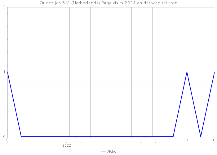 Oudezijds B.V. (Netherlands) Page visits 2024 