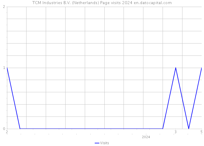 TCM Industries B.V. (Netherlands) Page visits 2024 