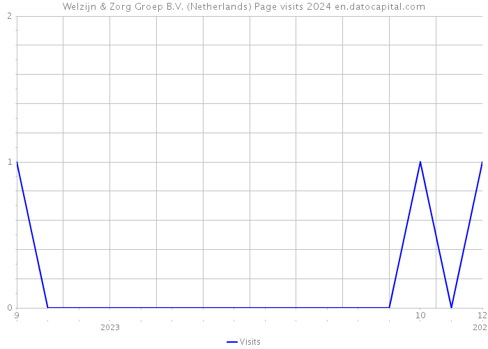 Welzijn & Zorg Groep B.V. (Netherlands) Page visits 2024 