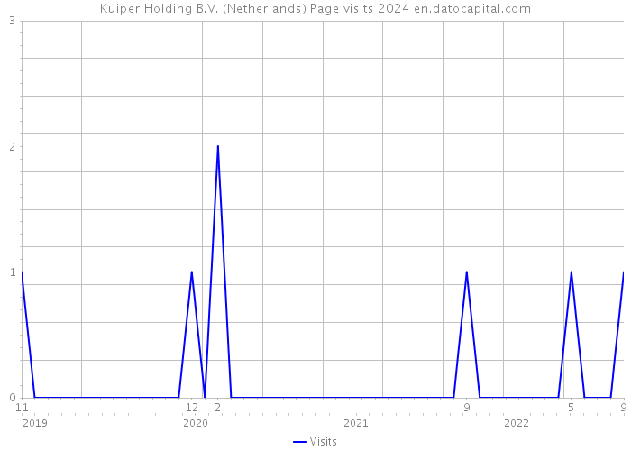 Kuiper Holding B.V. (Netherlands) Page visits 2024 