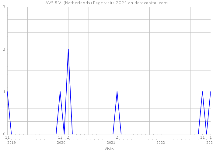 AVS B.V. (Netherlands) Page visits 2024 