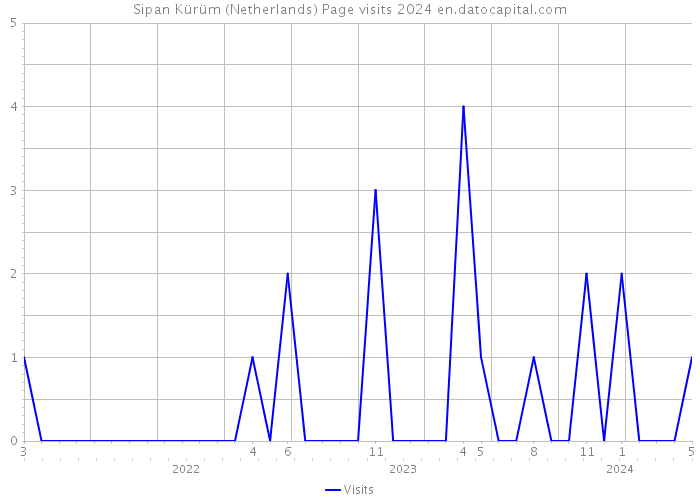 Sipan Kürüm (Netherlands) Page visits 2024 