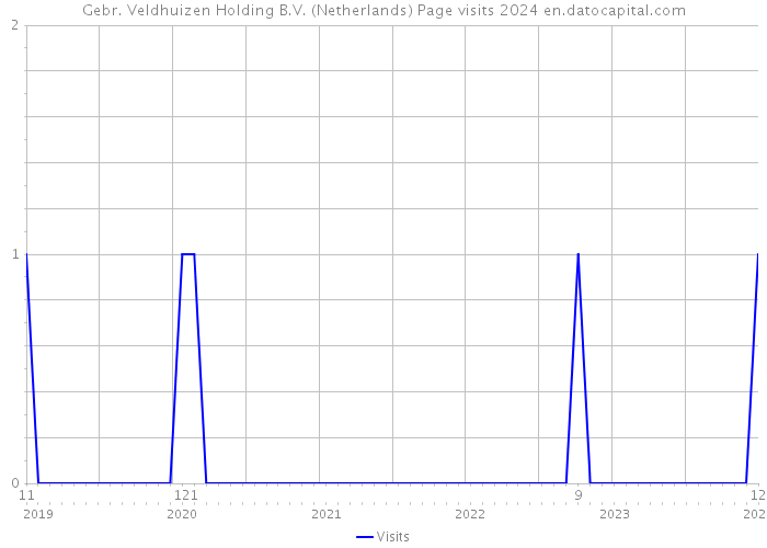Gebr. Veldhuizen Holding B.V. (Netherlands) Page visits 2024 