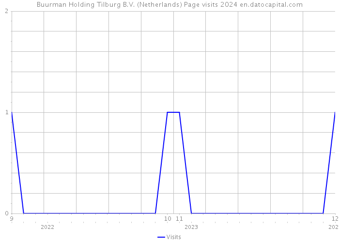 Buurman Holding Tilburg B.V. (Netherlands) Page visits 2024 
