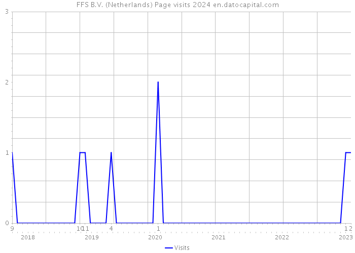 FFS B.V. (Netherlands) Page visits 2024 