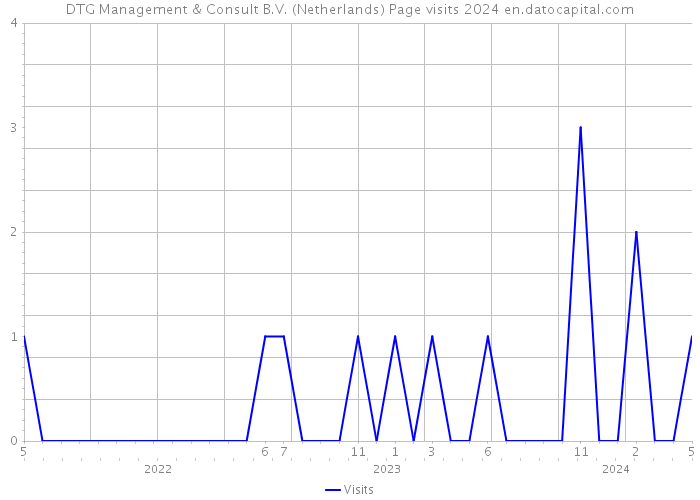 DTG Management & Consult B.V. (Netherlands) Page visits 2024 