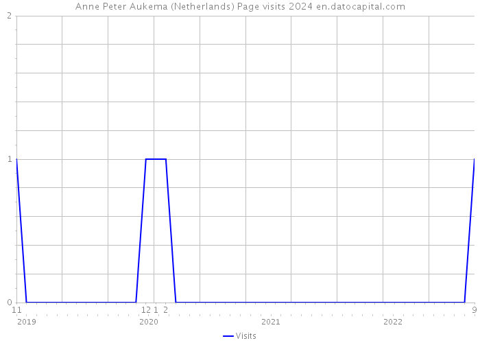 Anne Peter Aukema (Netherlands) Page visits 2024 