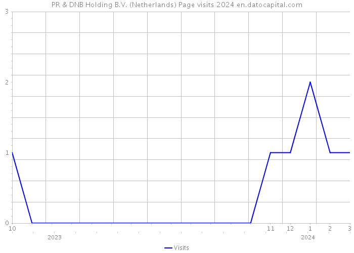 PR & DNB Holding B.V. (Netherlands) Page visits 2024 