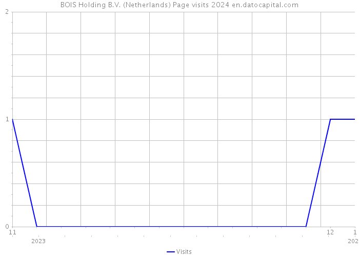 BOIS Holding B.V. (Netherlands) Page visits 2024 
