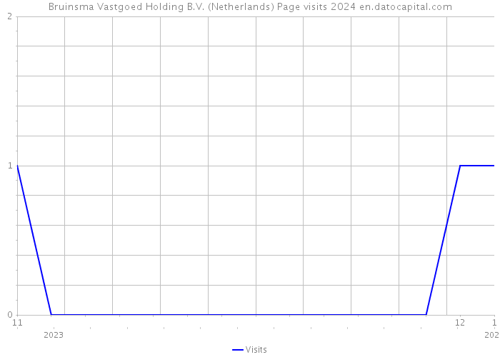 Bruinsma Vastgoed Holding B.V. (Netherlands) Page visits 2024 