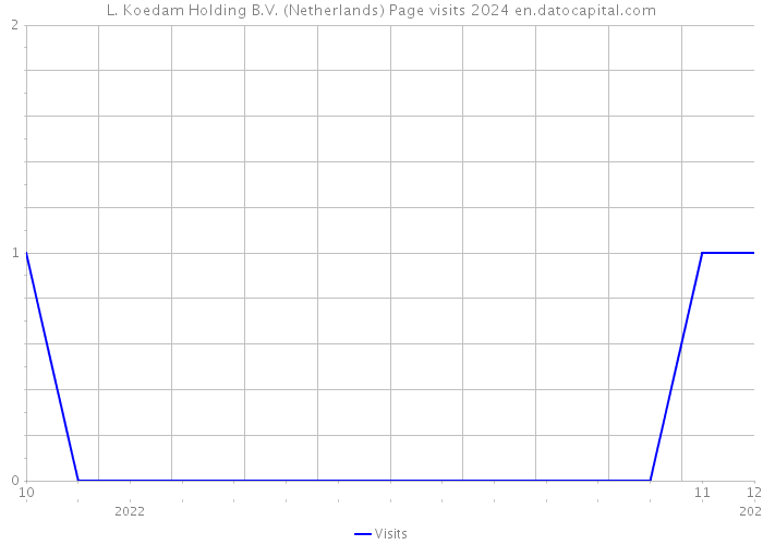 L. Koedam Holding B.V. (Netherlands) Page visits 2024 