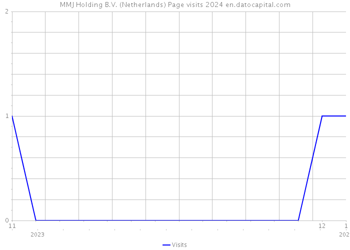 MMJ Holding B.V. (Netherlands) Page visits 2024 