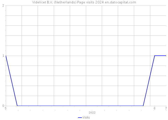 Videlicet B.V. (Netherlands) Page visits 2024 