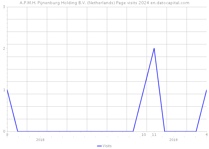 A.P.M.H. Pijnenburg Holding B.V. (Netherlands) Page visits 2024 