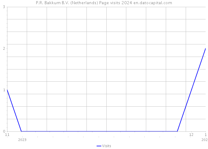 P.R. Bakkum B.V. (Netherlands) Page visits 2024 
