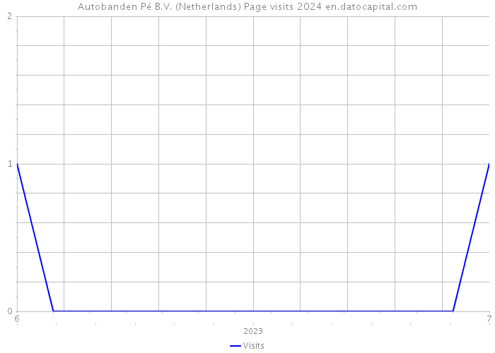 Autobanden Pé B.V. (Netherlands) Page visits 2024 