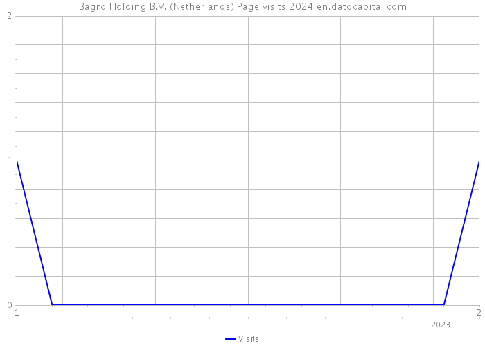 Bagro Holding B.V. (Netherlands) Page visits 2024 