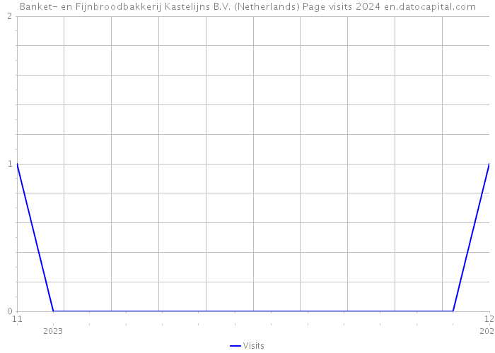 Banket- en Fijnbroodbakkerij Kastelijns B.V. (Netherlands) Page visits 2024 