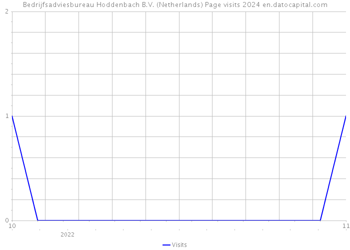 Bedrijfsadviesbureau Hoddenbach B.V. (Netherlands) Page visits 2024 