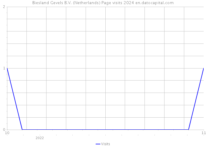 Biesland Gevels B.V. (Netherlands) Page visits 2024 