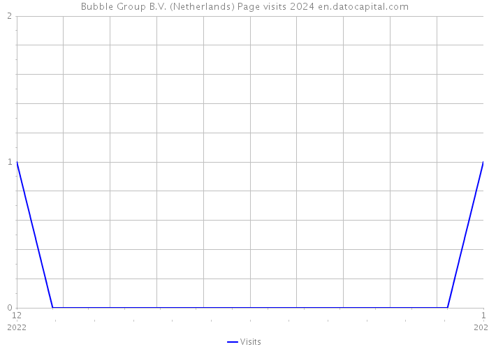 Bubble Group B.V. (Netherlands) Page visits 2024 