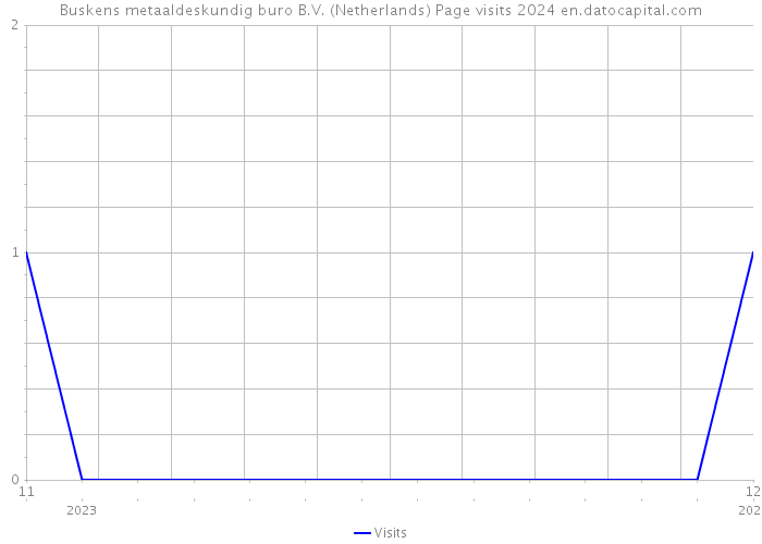Buskens metaaldeskundig buro B.V. (Netherlands) Page visits 2024 