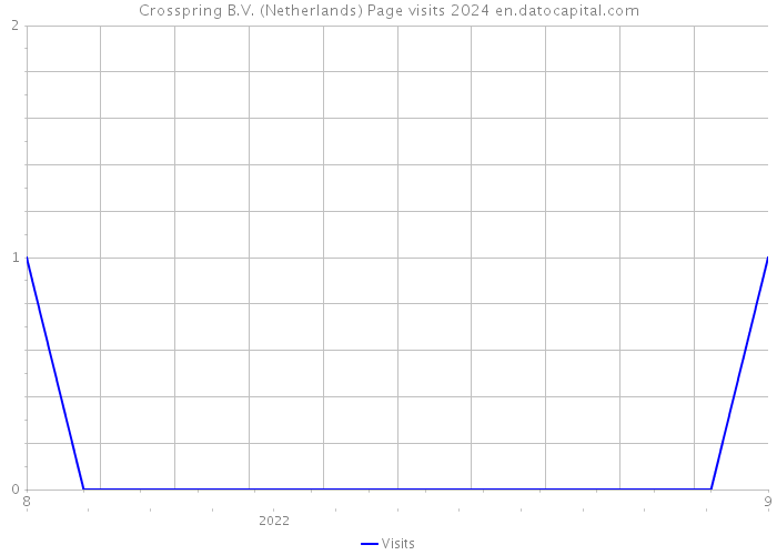 Crosspring B.V. (Netherlands) Page visits 2024 
