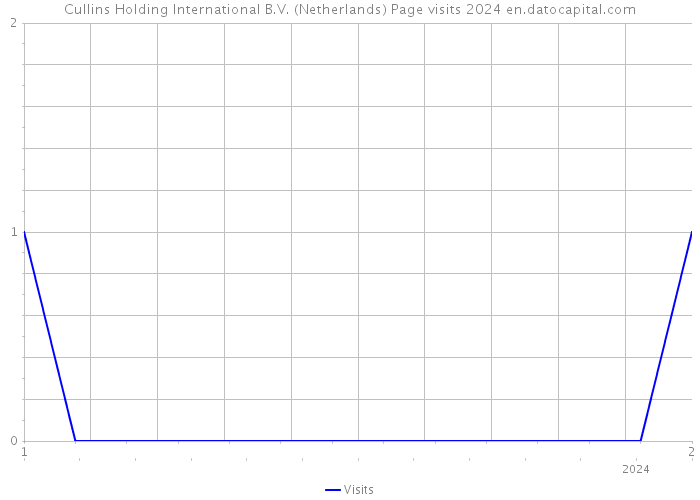 Cullins Holding International B.V. (Netherlands) Page visits 2024 