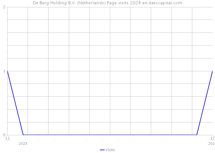 De Berg Holding B.V. (Netherlands) Page visits 2024 