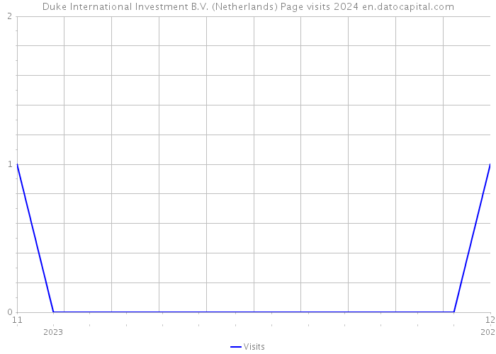 Duke International Investment B.V. (Netherlands) Page visits 2024 