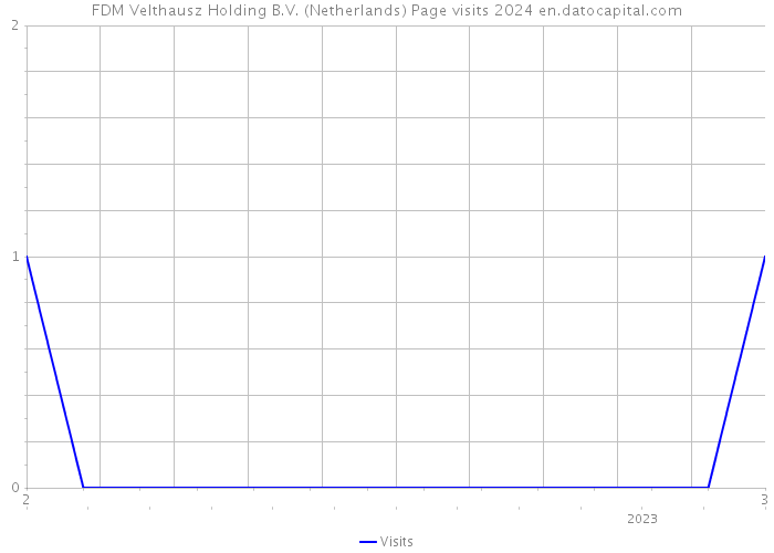 FDM Velthausz Holding B.V. (Netherlands) Page visits 2024 