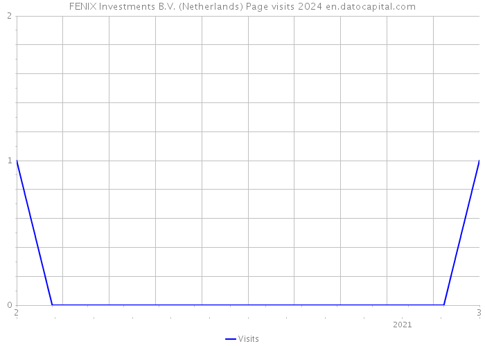 FENIX Investments B.V. (Netherlands) Page visits 2024 