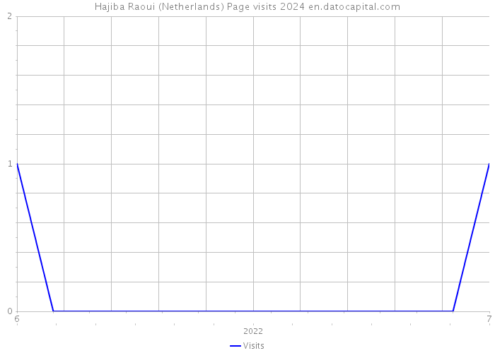 Hajiba Raoui (Netherlands) Page visits 2024 