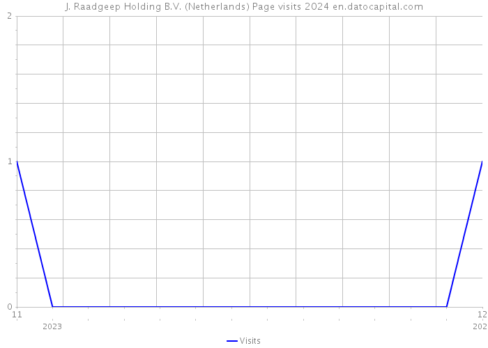 J. Raadgeep Holding B.V. (Netherlands) Page visits 2024 
