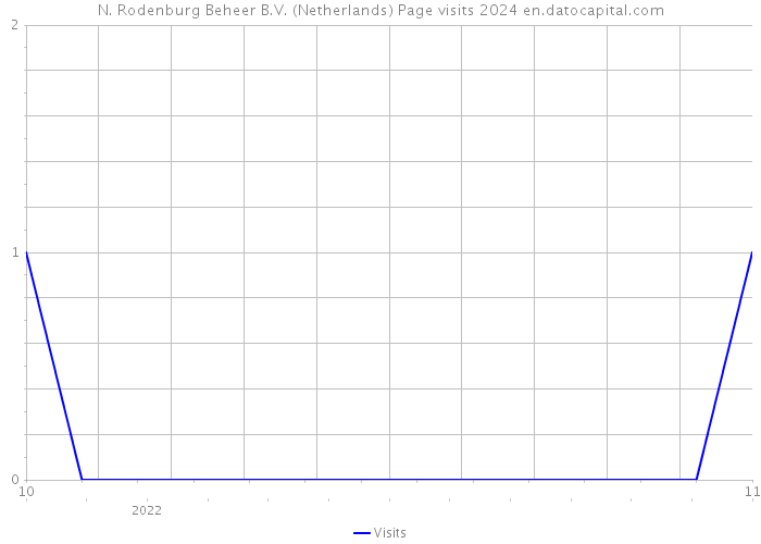 N. Rodenburg Beheer B.V. (Netherlands) Page visits 2024 