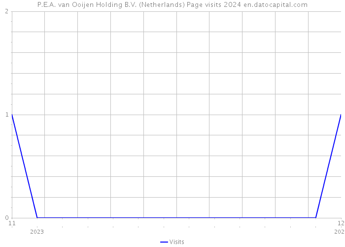 P.E.A. van Ooijen Holding B.V. (Netherlands) Page visits 2024 