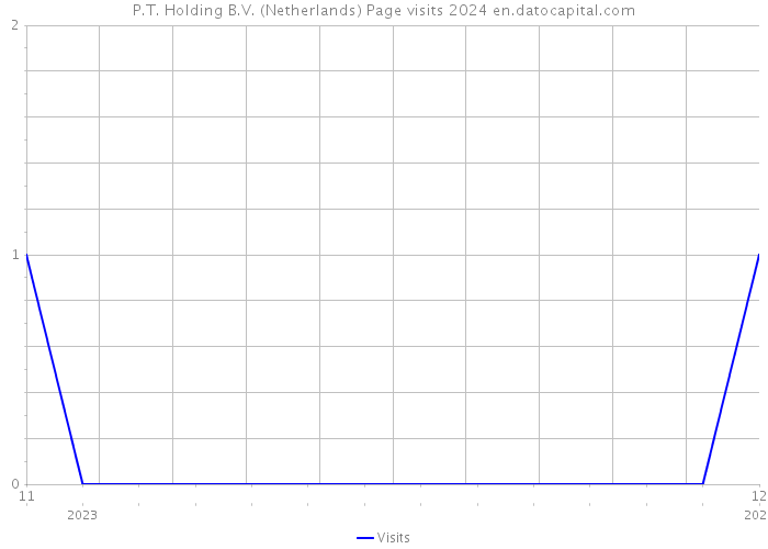 P.T. Holding B.V. (Netherlands) Page visits 2024 