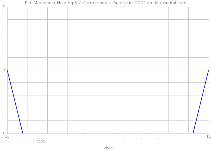 Pim Moolenaar Holding B.V. (Netherlands) Page visits 2024 