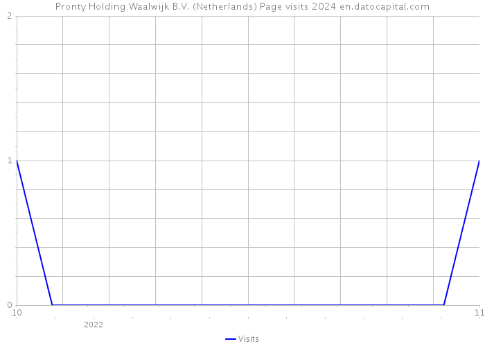 Pronty Holding Waalwijk B.V. (Netherlands) Page visits 2024 