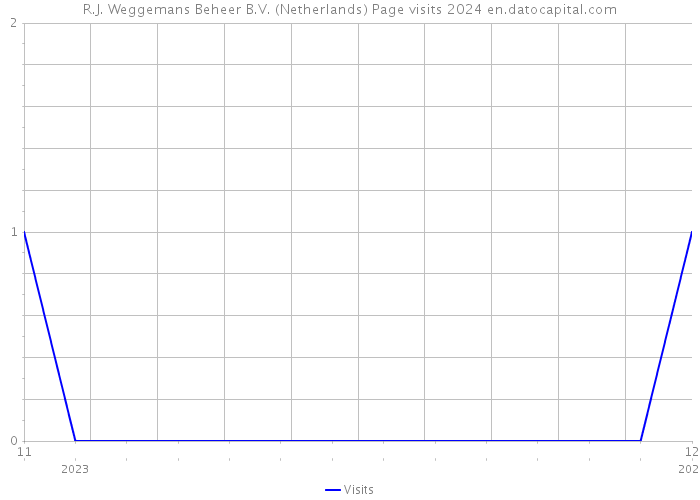 R.J. Weggemans Beheer B.V. (Netherlands) Page visits 2024 