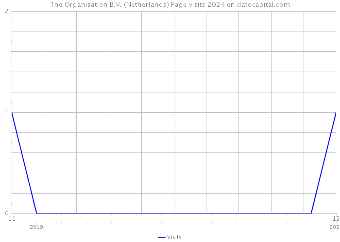 The Organisation B.V. (Netherlands) Page visits 2024 