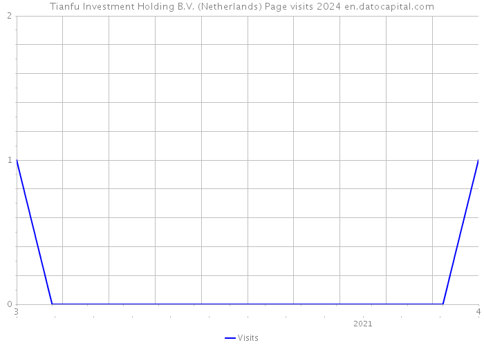 Tianfu Investment Holding B.V. (Netherlands) Page visits 2024 