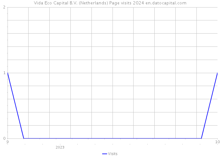 Vida Eco Capital B.V. (Netherlands) Page visits 2024 