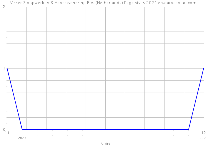 Visser Sloopwerken & Asbestsanering B.V. (Netherlands) Page visits 2024 