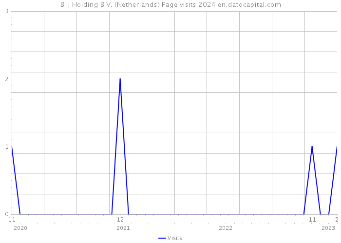 Blij Holding B.V. (Netherlands) Page visits 2024 