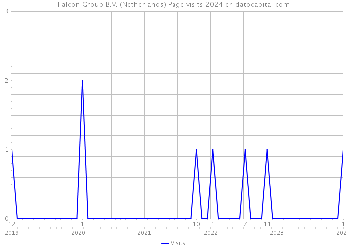 Falcon Group B.V. (Netherlands) Page visits 2024 