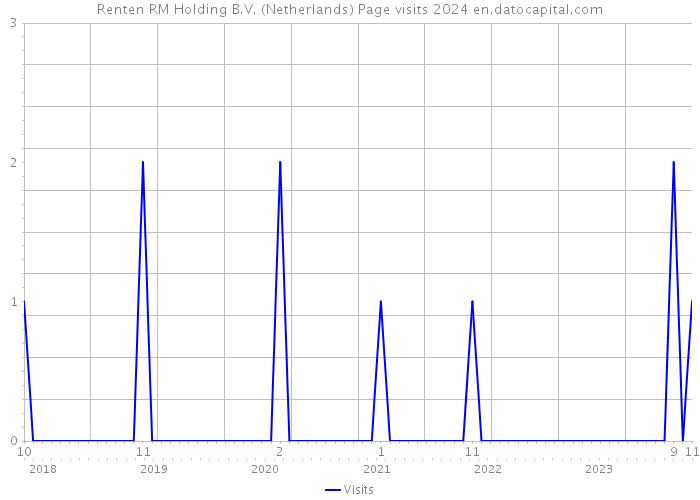 Renten RM Holding B.V. (Netherlands) Page visits 2024 