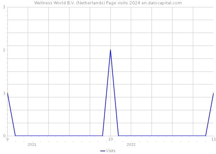 Wellness World B.V. (Netherlands) Page visits 2024 